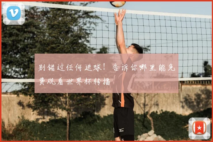 别错过任何进球！告诉你哪里能免费观看世界杯转播
